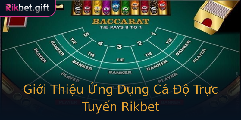 Giới Thiệu Ứng Dụng Cá Độ Trực Tuyến Rikbet Giới Thiệu Ứng Dụng Cá Độ Trực Tuyến Rikbet