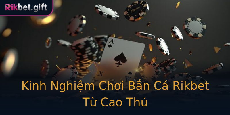 Kinh Nghiệm Chơi Bắn Cá Rikbet Từ Cao Thủ Kinh Nghiệm Chơi Bắn Cá Rikbet Từ Cao Thủ