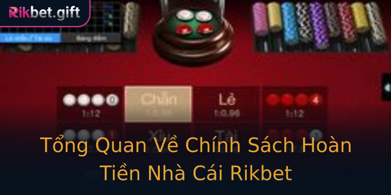 Tổng Quan Về Chính Sách Hoàn Tiền Nhà Cái Rikbet Tổng Quan Về Chính Sách Hoàn Tiền Nhà Cái Rikbet