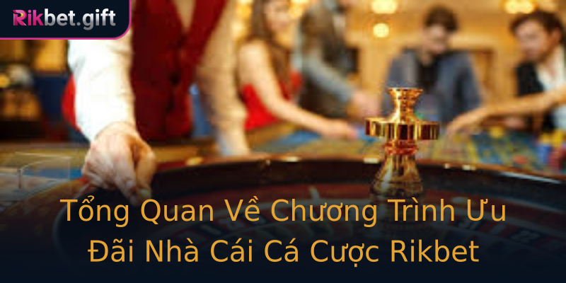 Tổng Quan Về Chương Trình Ưu Đãi Nhà Cái Cá Cược Rikbet Tổng Quan Về Chương Trình Ưu Đãi Nhà Cái Cá Cược Rikbet